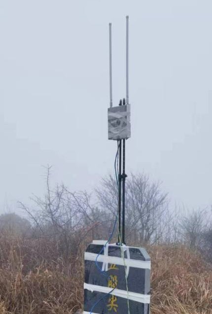 123.jpg
